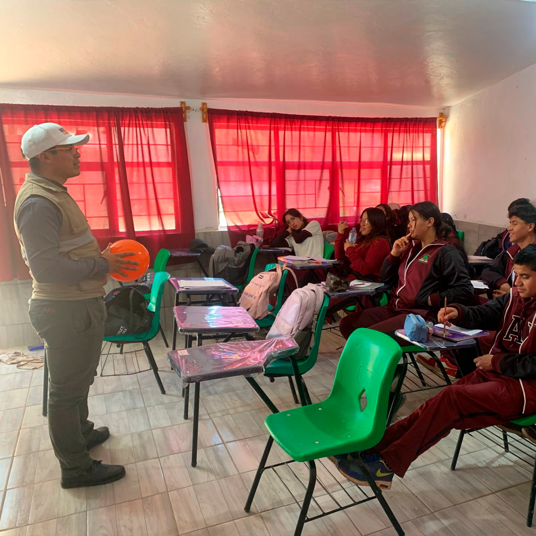 El programa en acción - Foto 6