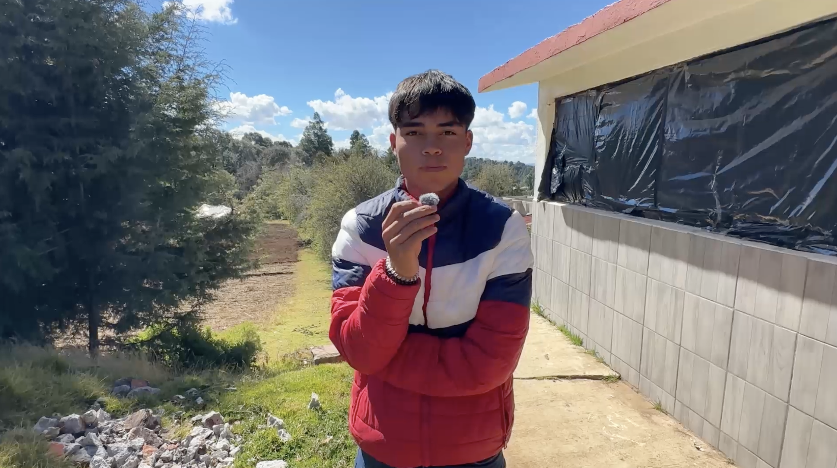 Video preview
